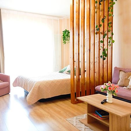 Apartament Nyx Floreşti エクステリア 写真