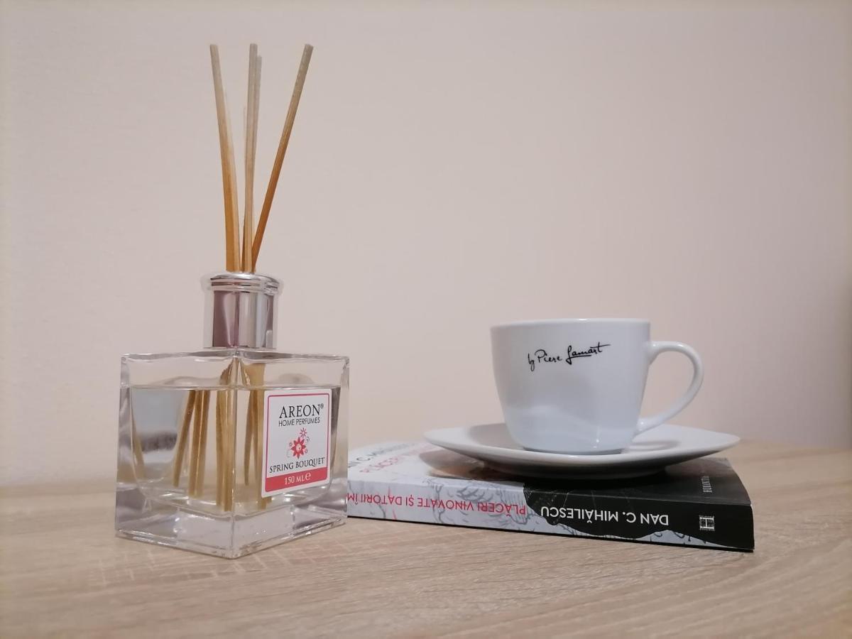 Apartament Nyx Floreşti エクステリア 写真